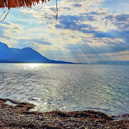 κνημισ *