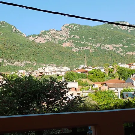 κνημισ * Agios Konstantinos (Phthiotis)